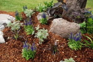 garden-mulch-design | theyearddepot.com