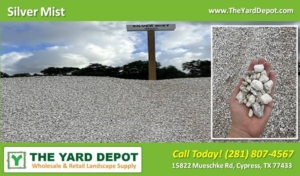 Silver Mist - The Yard Depot Cypress Texas